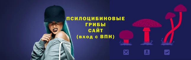 марки lsd Баксан