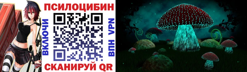 Галлюциногенные грибы Psilocybe  Ейск 