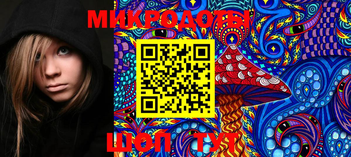 Псилоцибиновые грибы мицелий Ейск