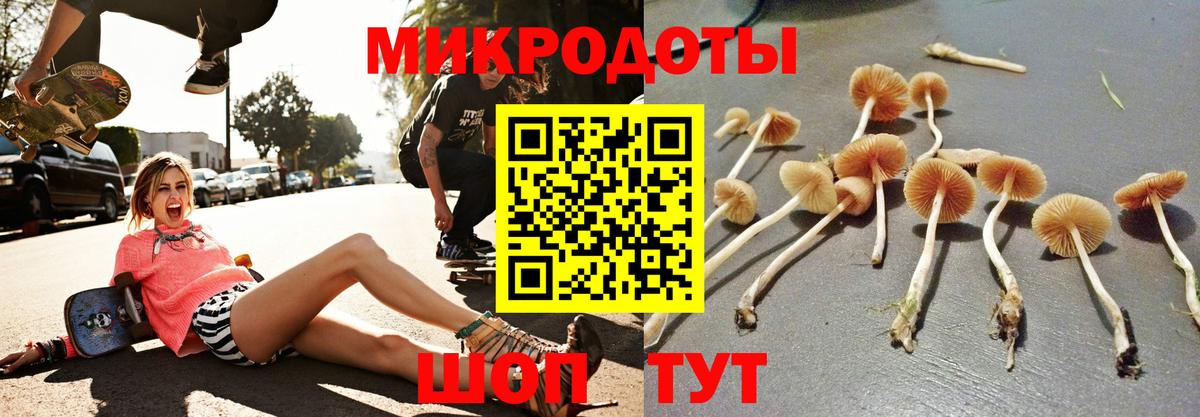 Ейск  Псилоцибиновые грибы Magic Shrooms  Вход с VPN 