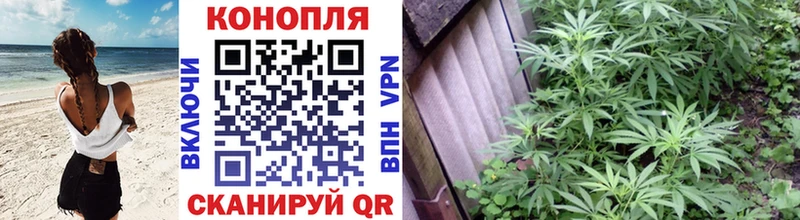 Марихуана марихуана  где найти   Ейск 